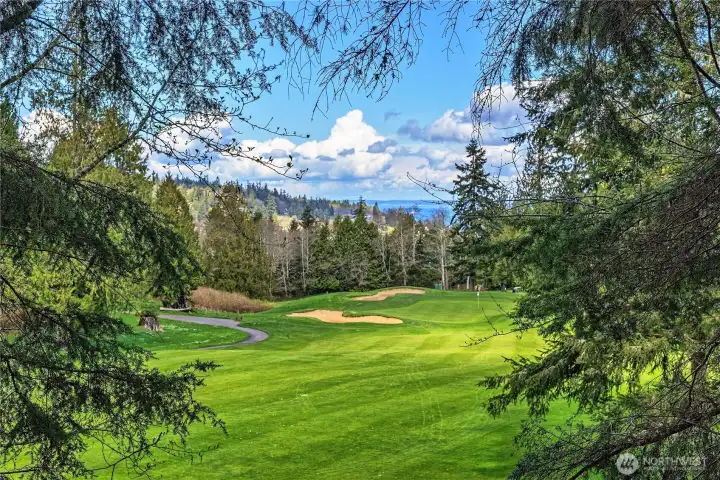 Possible view from 2022 when trees and bushes were cleared.