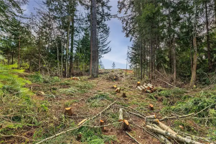 From 2022 when trees and bushes were cleared.