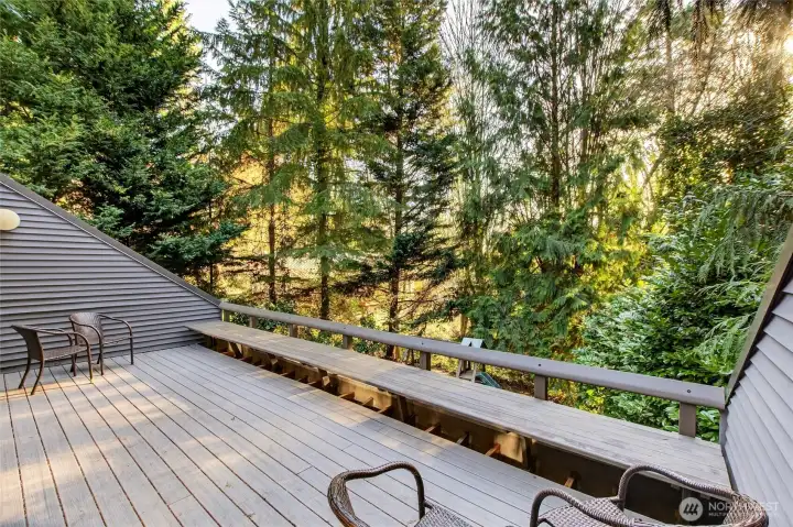 Large (200 sf +) cantilevered back deck