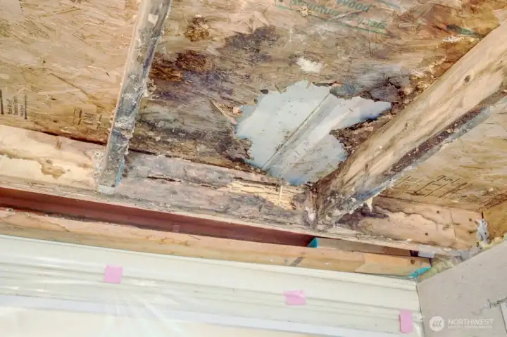 This is the damage to the enclosed deck's ceiling/roof