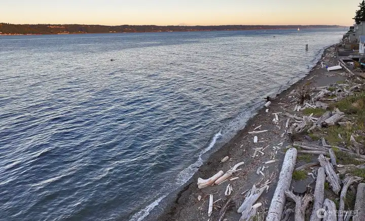 Beachcombing calls...