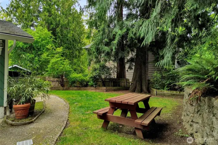 Side yard