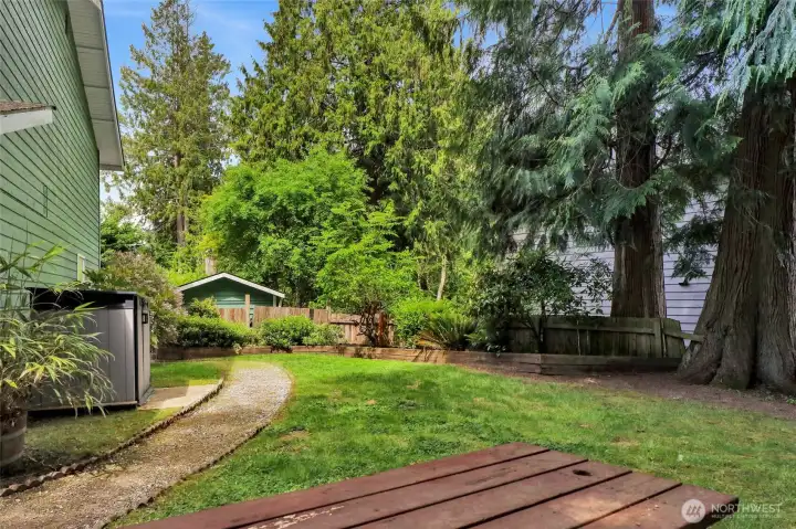 Side yard