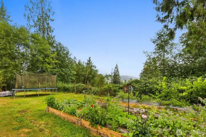 Raised garden beds in the back yard Raised garden beds in the back yard