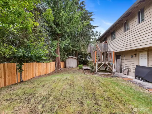 Spacious and Level Backyard