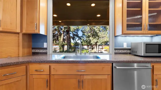 Kitchen view of Backyard