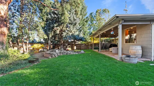 Backyard - private & serene