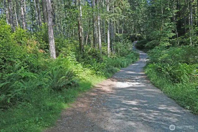 Bring your hiking boots and explore the trails winding through this 15-acre forested paradise. Your private escape starts here