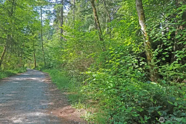 Old Mill Road’s Best-Kept Secret