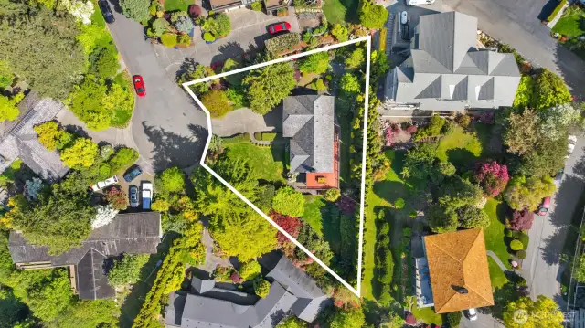 Oversized lot, hard to find in West Seattle!