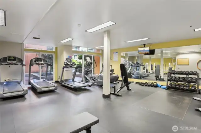 Treadmills, yoga mat and more!
