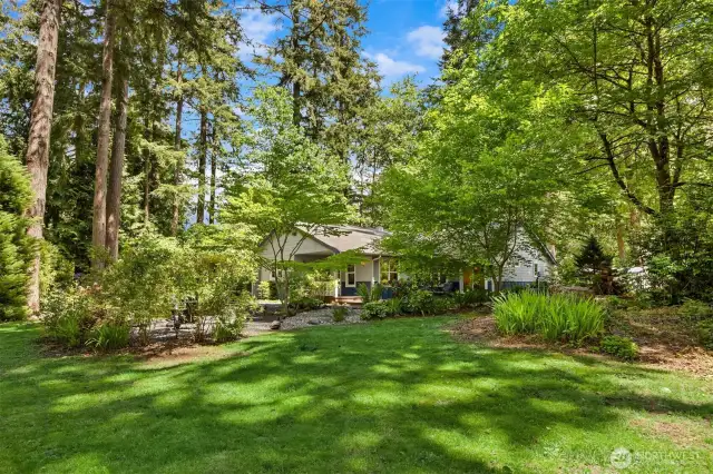 Expansive lawns across the backyard.