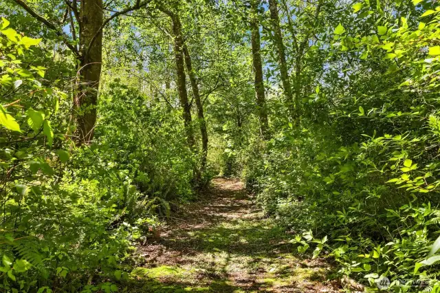 Trails crisscross the property, your own personal haven.