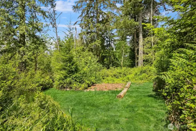 As you walk the property, you will find open meadows.