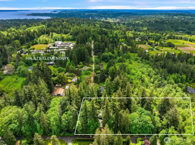 2.5+ private acres off of a paved road.
