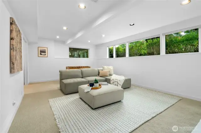 Another view of the downstairs rec room.