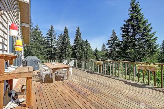 Imagine the sound of silence (except nature sounds) tree level, overlooking 5 acres of park-like features.  Minutes to beaches, fishing, & crabbing!