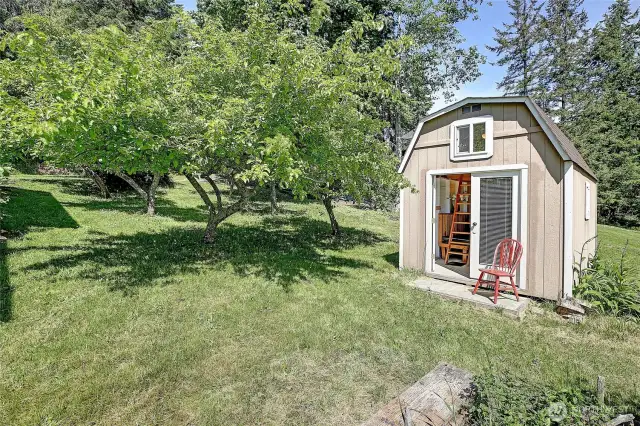 The shed measures 10' x 15', offers a loft for more sleeping arrangements and storage.