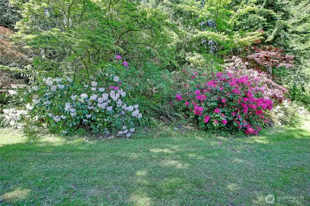 Beautiful mature foliage abounds, creating a private sanctuary from everything else.