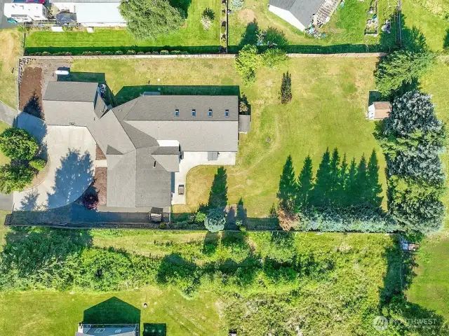Ariel View