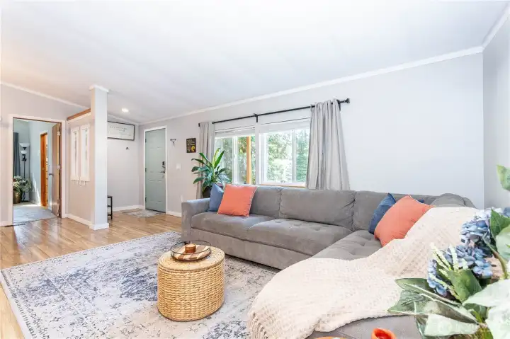 Living with big bright windows