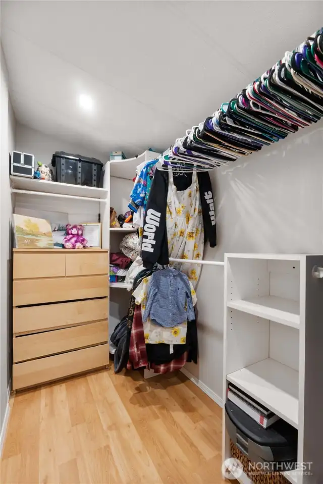 Primary closet