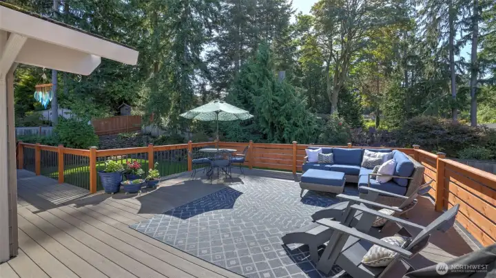 New composite TimberTech decks runs the length of the back of the house
