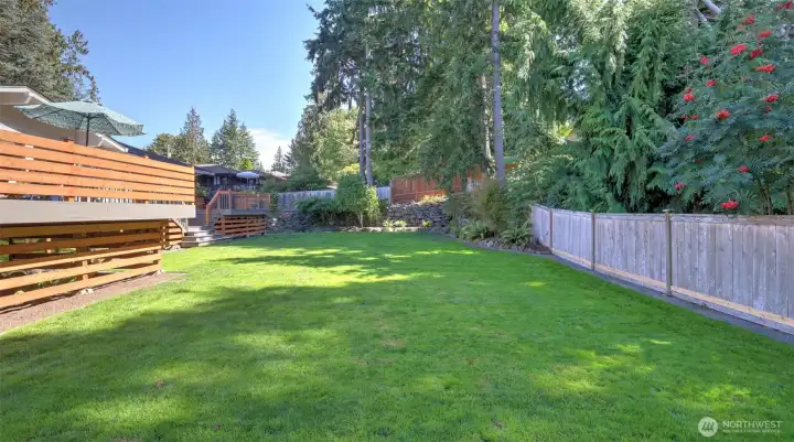 Large fenced yard surrounded by mature landscaping