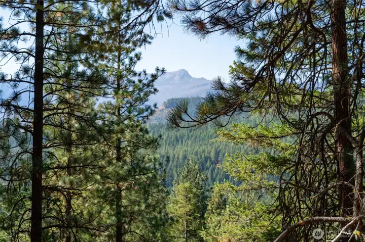 Mountain view from 25607 Camp 12 Rd Lot