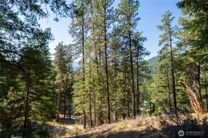 Potential for big mountain views