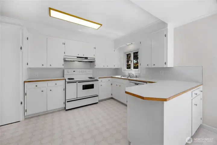 Efficiently designed kitchen layout...