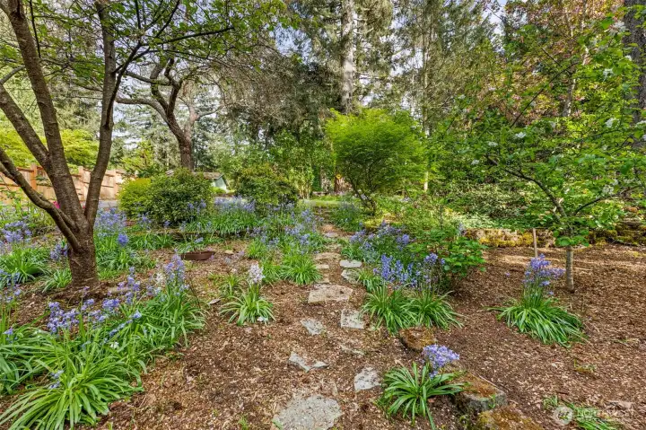Front Garden Area Full of Color.