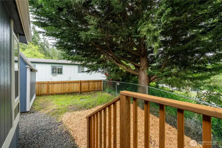 Back Deck