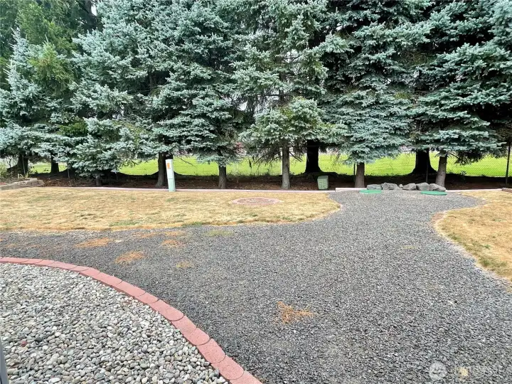 Back yard