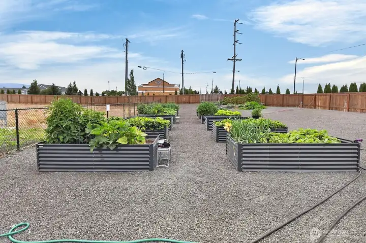 Community Amenities