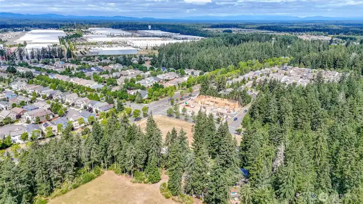 Aerial Community View  Aerial view showcasing the peaceful neighborhood surrounded by mature trees and the beauty of the Pacific Northwest.