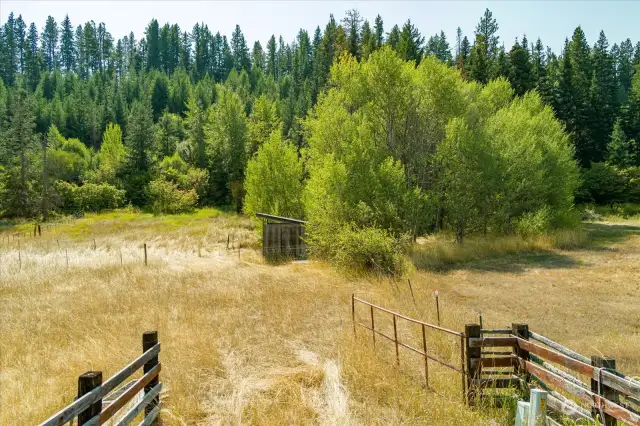 Nestled between Roslyn, Ronald and Suncadia, this peaceful parcel has the perfect location!