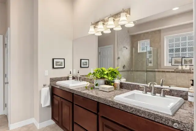 Double vanity in Primary suite with raised custom sinks. Rich finishes through out.