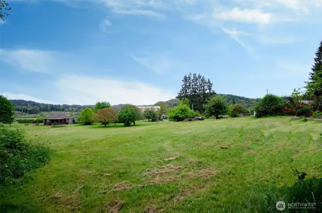 Grassy meadow.