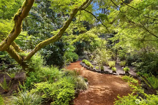 Front gardens
