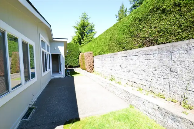 Back patio