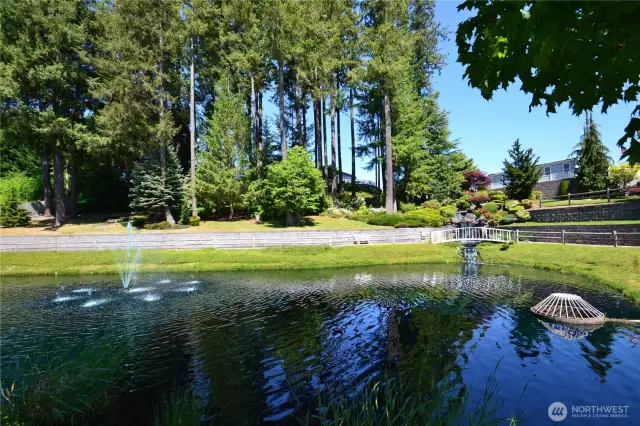 Beautiful pond near clubhouse