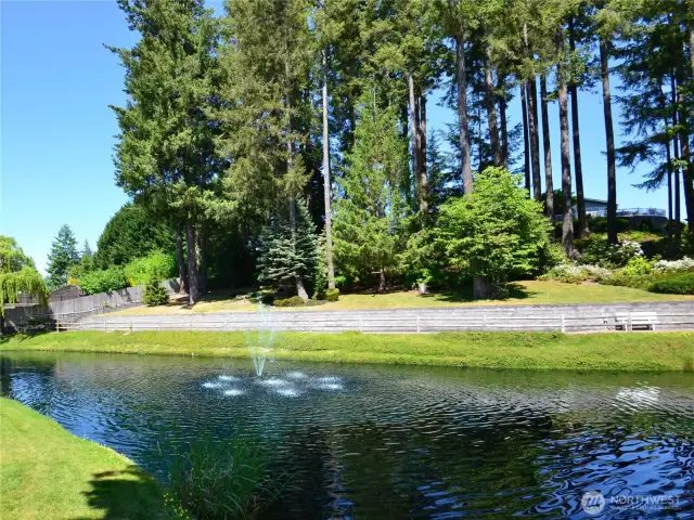 Pond near clubhouse