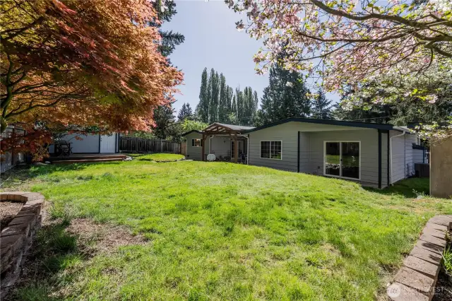 Another view of the huge backyard.
