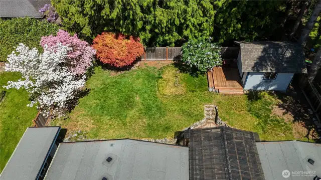 Backyard view with mature trees and two sheds.