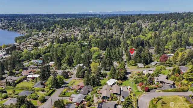 Home sits in a beautiful neighborhood, near Lake Washington.