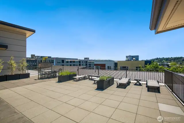 Rooftop deck with view of Mount Rainier