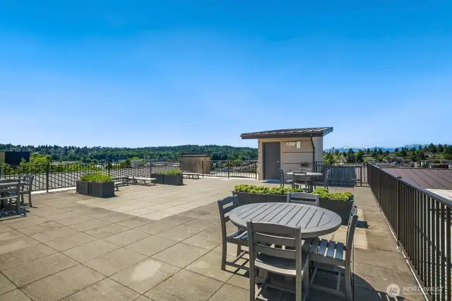 Rooftop deck with views of the Olympic Mountains