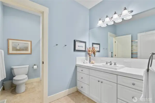 Lower level ensuite  3/4 bath with large walk-in shower