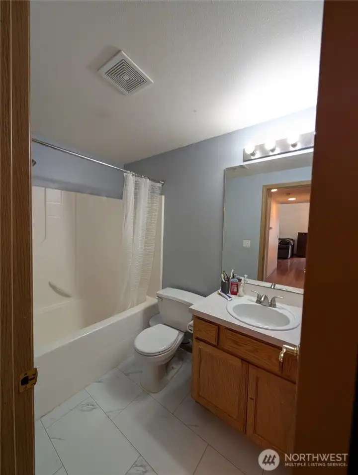 Another full bathroom - lower level